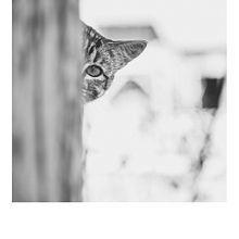 Mundo interior. Fotografia artística projeto de Fernando Castellanos - 07.03.2015