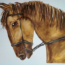 Proyecto de fin de curso: Cabeza de caballo. Traditional illustration project by Beatriz Collado - 02.12.2020
