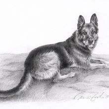 Neo. Dibujo a lápiz. Un proyecto de Dibujo a lápiz de Marisa Zurita López - 09.02.2020