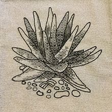 Mi Proyecto del curso: Introducción al bordado en blackwork . Bordir proyek oleh Gabriela Farías Islas - 02.09.2020