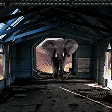 Mi Proyecto del curso: Secretos del fotomontaje y el retoque creativo // Elefante Errante // Lester E.. Traditional illustration project by Lester Alejandro Espinoza Mejía - 02.10.2020