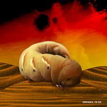 Gusano de Dune: Práctica Photoshop Básics. Concept Art project by Sergio Rojas Morales - 02.09.2020