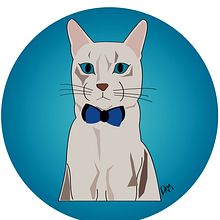 Ilustración Gatos . Drawing, Digital Illustration, and Vector Illustration project by Daniela Rozo Mora - 02.10.2020
