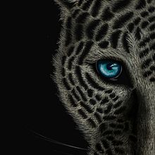 Leopardo delas nieves - Snow Leopard. Un projet de Art conceptuel, Dessin, Dessin réaliste et Illustration traditionnelle de Cristina Pelayo Álvarez - 11.02.2020