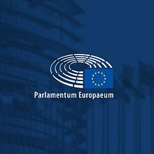 Parlamento Europeo. Animation, 2D Animation, Design, Traditional illustration, Infographics, and Motion Graphics project by Miguel Tomé Cornejo - 02.12.2020