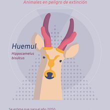 Mi Proyecto del curso: Bases del diseño gráfico para ilustradores. Design, Digital Design, and Graphic Design project by Claudia Valencia - 02.13.2020