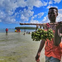 Mi Proyecto del curso: Fotografía profesional para Instagram . Iklan, Fotografi, Pemasaran, Media Sosial, Fotografi Seluler, Fotografi Produk, Pemasaran Seluler, Instagram, Fotografi Instagram, Fotografi Ga, Dan a Hidup proyek oleh Esmailin Ramon - 02.12.2020