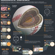 Radiografía de "Doña Blanca" . Infographics project by Luis Roberto Ramírez Cruz - 02.15.2020