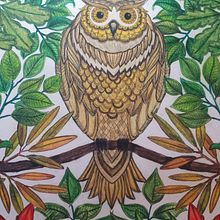 Colores. Un progetto di Illustrazione tradizionale di Mariauxi - 16.02.2020