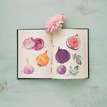Mi Proyecto del curso: Ilustración de un diario naturalista. Un progetto di Illustrazione tradizionale, Illustrazione botanica e Pittura ad acquerello di cindyluv - 18.02.2020