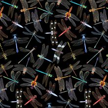 Odonata - Una serie de ilustraciones de anisópteros y zygópteros. Een project van Traditionele illustratie van Diana Flores Blazquez - 27.02.2020