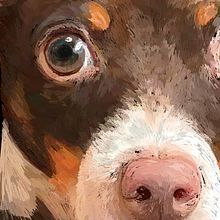 Animales de compañía.. Een project van Traditionele illustratie van Diana Flores Blazquez - 27.02.2020