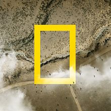NatGeo • IDs. Projekt z dziedziny 3D, Animacje 2D, Animacje 3D, Projektowanie graficzne, Ed, cja filmów, Postprodukcja fotograficzna i  Motion graphics użytkownika Martin Ferdkin - 01.02.2016