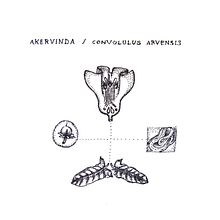 Textil illustration. Un proyecto de Ilustración botánica de Cristina Calvache Quesada - 27.02.2020