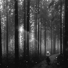 Ligth will find you. You will find your way.. Digital Photograph project by Christina art - 03.01.2020