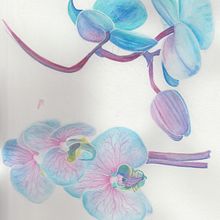 Mi Proyecto del curso: Ilustración botánica con acuarela . Ilustrație botanică de Maria Torres - 03.08.2020