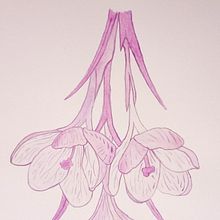 Mi Proyecto del curso: Técnicas modernas de acuarela. Un proyecto de Bellas Artes de Gloria Cisa Molins - 02.03.2020