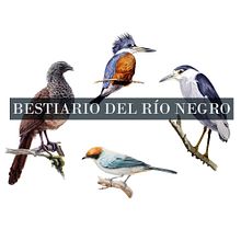 Bestiario del Río Negro. Fine Arts, Artistic Drawing, Traditional illustration, and Watercolor Painting project by Juan Camilo - 10.17.2019