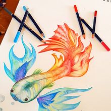 dibujo lapiz color . Color Correction, Pencil Drawing, and Artistic Drawing project by alma_chaguacedac - 03.02.2020