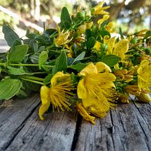 Kalendulas. Un projet de DIY, E-commerce , et Éducation de Esther Valero - 04.03.2020