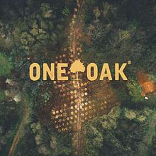 ONEOAK. Projekt z dziedziny CSS, Projektowanie graficzne, Web design, HTML i JavaScript użytkownika Adrian Rodriguez Amago - 10.12.2019