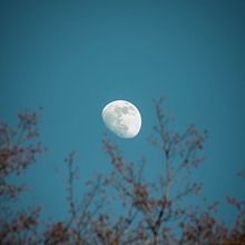 My project in Photo Composition and Editing for Instagram course. Photograph project by Lorenzo Nucci - 03.05.2020