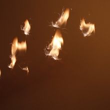 Mariposas de fuego . Food Photograph project by dlinogabriel - 03.06.2020