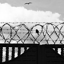 Exposición "Pravda Pravda", Miami 2015. Photograph, Fine-Art Photograph, Digital Photograph, and Outdoor Photograph project by bloknina - 03.06.2020