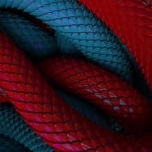Scales. 3D, 3D Animation, and Art Direction project by Jose Moreno - 03.06.2020