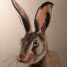 Mi Proyecto del curso: Liebre con acuarela/grafitos/pilot y gouache. Fine Arts project by Beatriz Rodriguez - 05.27.2020
