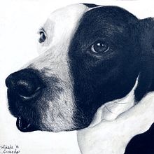 Trabajo Encargado de 2 Perritos. Pencil Drawing, Portrait Drawing, and Realistic Drawing project by Tañedo - 07.15.2018