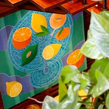 Citrus. Traditional illustration project by Philip Stanton Studio - 03.09.2020