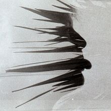 Natura . % sibux_fotografia tarafından hazırlanan Film Fotoğrafçılığı projesi - 09.07.2020