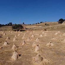Mi Proyecto del curso: Introducción a la fotografía aérea con drones. Un progetto di Video di Gerardo Augusto Cárdenas Espinosa - 10.03.2020