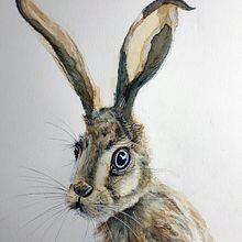My project in Experimental Watercolor Techniques for Beginners course. Projekt z dziedziny Malowanie akwarelą, Trad, c, jna ilustracja,  Sztuki piękne, Ilustracja naturalist i czna użytkownika aw_meerkat - 16.03.2020