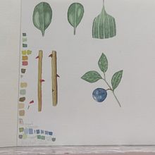 Botanical. Watercolor Painting project by aisha_almarzoogi - 03.15.2020
