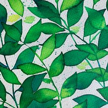 Green. Fine Arts project by Onia Garcia Fernandez - 03.15.2020
