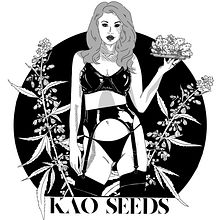Proyecto para la marca Kao seeds. Un proyecto de Bellas Artes, Dibujo, Diseño digital e Ilustración tradicional de La Rouge - 12.03.2020