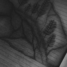 Forest Drawing | Milagros Gomez. Un proyecto de Fotografía de Milagros Gomez - 18.03.2020
