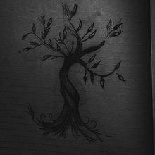 Tree Drawing | Milagros Gomez . Un proyecto de Fotografía de Milagros Gomez - 18.03.2020