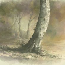 Ejercicios de botánica . Un proyecto de Dibujo realista, Ilustración botánica, Ilustración digital y Paisajismo de FerGrossart Gross - 12.06.2018