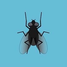 Fly. Un projet de Illustration vectorielle de Oscar Merling Conde - 18.03.2020