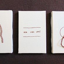 Variações de rios Ein Projekt aus dem Bereich Stickerei von Mateus Sérvio - 18.03.2020