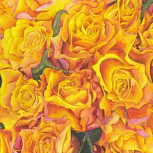 Enthusiasm (Orange Roses). Watercolor Painting project by Heather Boyer - 03.19.2020