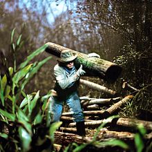 La Creciente. Un proyecto de Fotografía, Fotografía analógica, Fotografía artística, Fotografía de retrato, Fotografía documental, Fotografía en exteriores e Iluminación fotográfica de Alejandro Chaskielberg - 19.03.2020