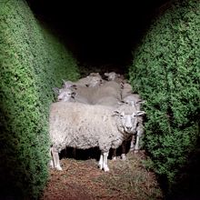 Laberinto. Un proyecto de Fotografía, Fotografía analógica, Fotografía artística y Fotografía en exteriores de Alejandro Chaskielberg - 01.11.2017