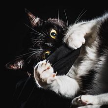 Estudio en casa, única modelo a mano, Noa.. Een project van Fotografie, Studiofotografie, Digitale fotografie y  Fotografische verlichting van Aranzazu Mata Bailera - 20.03.2020