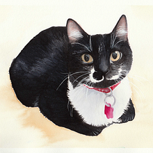 Peluditos. Een project van Traditionele illustratie van Marisol Jarpa Videla - 20.03.2020