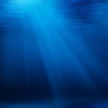 Photoshop . % Ana Teresa Alvarez tarafından hazırlanan Kolaj projesi - 03.21.2020