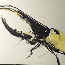 Acuarela y Tinta china - "Bichicos". Un proyecto de Pintura a la acuarela de Vanessa Alvarez Vaello - 23.03.2020